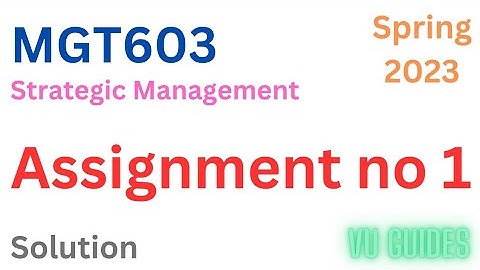 MGT603 Assignment 1 Solution Spring2023 / MGT603 Assignment 1 Solution 2023/#vu #mgt603#assignment