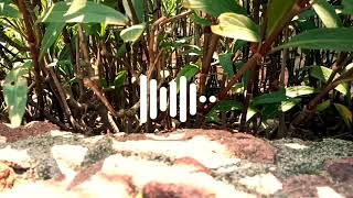Else - Night Thoughts