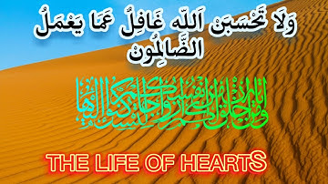 #تلاوة_خاشعة #قرآن #ولا تحسبن الله غافل عما يعمل الظالمون ❎⛔❤