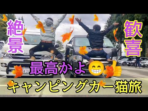 キャンピングカー猫旅／絶景！歓喜！新潟県魚沼編☆