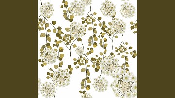 Stellar Moods for Summer and Relax