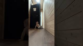 Adorable Baby Helps Mom Move a Futon