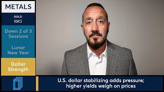 April Gold futures fell to multi-week lows on holiday volume. 2/17/26