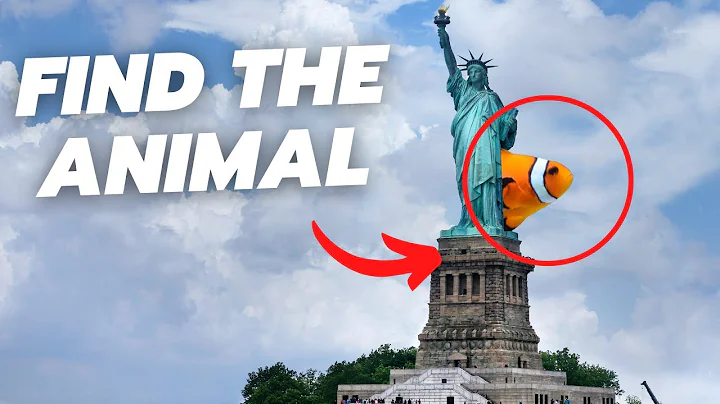 Find all the hidden animals - QUIZ