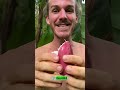 5 Popular Fruits That Don’t Actually Grow on Trees 🍌🍍🍉 | Shocking Facts You Didn’t Know