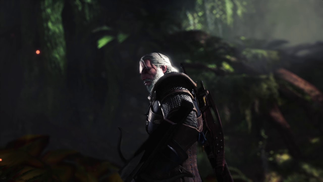 Monster Hunter World   Witcher Pukei Pukei Side quest