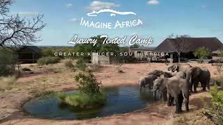 Tour Operator \/ Agent Promotional Video for Imagine Africa Luxury Tented Camp