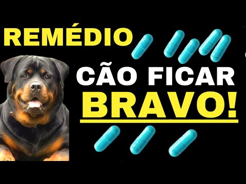 Vídeo: Como fazer cão caseiro trata de cães médios e grandes