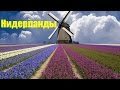Нидерланды (Netherlands)/ С высоты птичьего полета