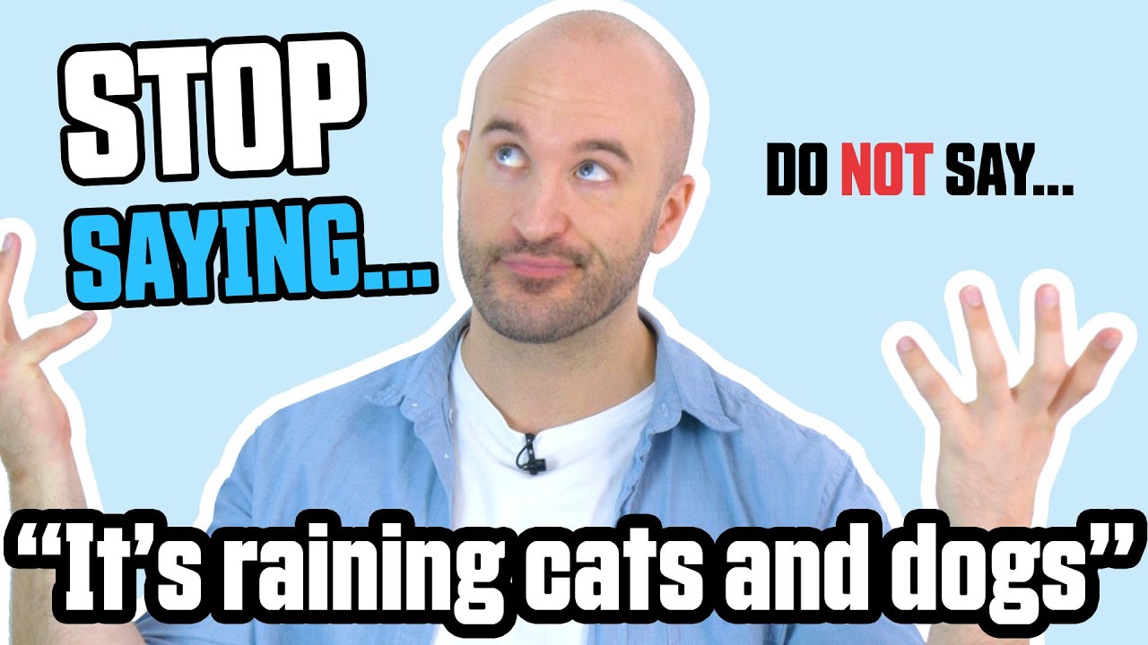 Stop Saying It S Raining Cats And Dogs Youtube