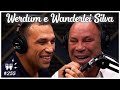 WERDUM E WANDERLEI SILVA - Flow Podcast #255