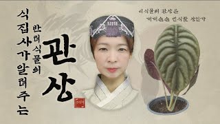 식물에도 관상이 있다고?! 호미여사와 함께하는 식물 관상학