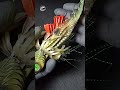 Weedless Hook Setup for a Pike Soft Bait — GHOST HOOK | KYMRA-E