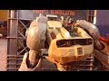 Transformers Prime Legacy Ep 10- Optimus Prime Vs Grimlock Stop motion