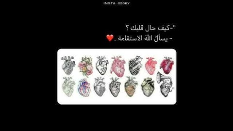 قرآن كريم بصوت القارئ: نايف الفيصل || أجمل حالات واتس اب دينيه || تلاوة خاشعة 🌿