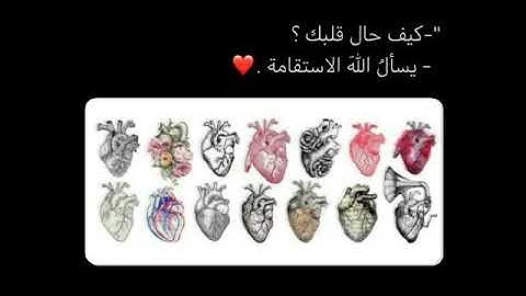 قرآن كريم بصوت القارئ: نايف الفيصل || أجمل حالات واتس اب دينيه || تلاوة خاشعة 🌿