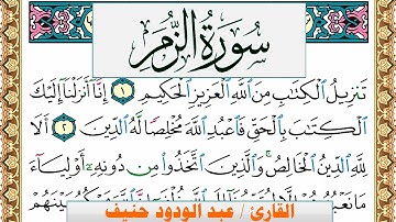 سورة الزمر عبد الودود حنيف Surah Al Zomar  Abd Al Wadood Haneef برواية حفص عن عاصم