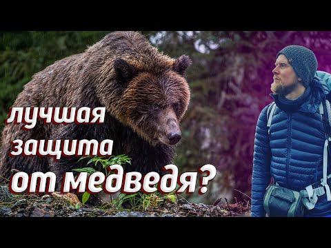 Видео: Может ли электрошокер остановить медведя?