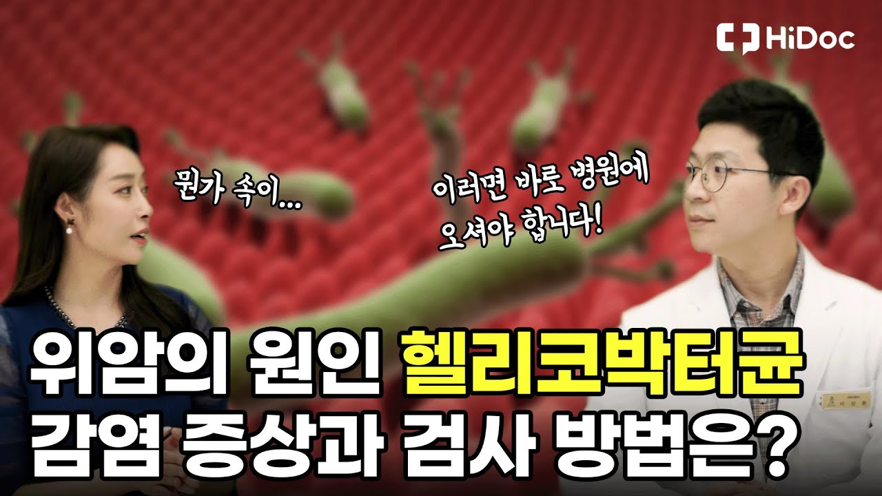 위암의 원인 헬리코박터균 감염 증상과 검사 방법은? "하이닥이 간다!"