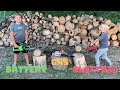 Kid's Chainsaw Battle - Battery vs Gas vs Electric!!