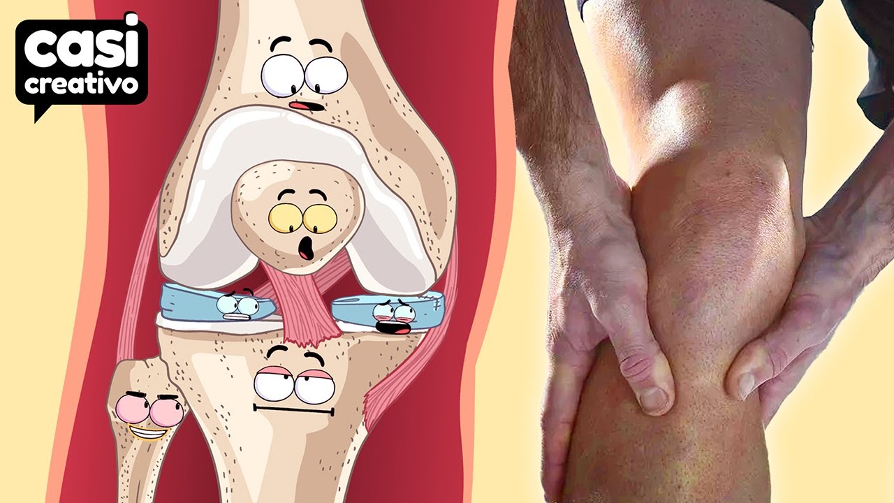 Dentro de Tu Rodilla Cuando te Lesionas | Casi Creativo