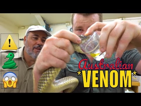 prehistoric pets location Milking Australia's Most Deadly Venomous Snakes