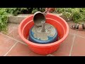 Amazing Cement Craft Ideas - The perfect combination between fish pots and plant pots