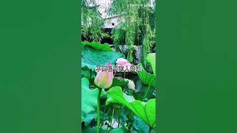 女孩独自一人在外，别让家人担心，请记住这些超实用的自保法则 #女孩 #保护 # - 天天要闻