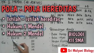 HEREDITY PATTERNS part 1 (Heredity terms, Mendel's First Law, Mendel's Second Law) | Biology XII SMA