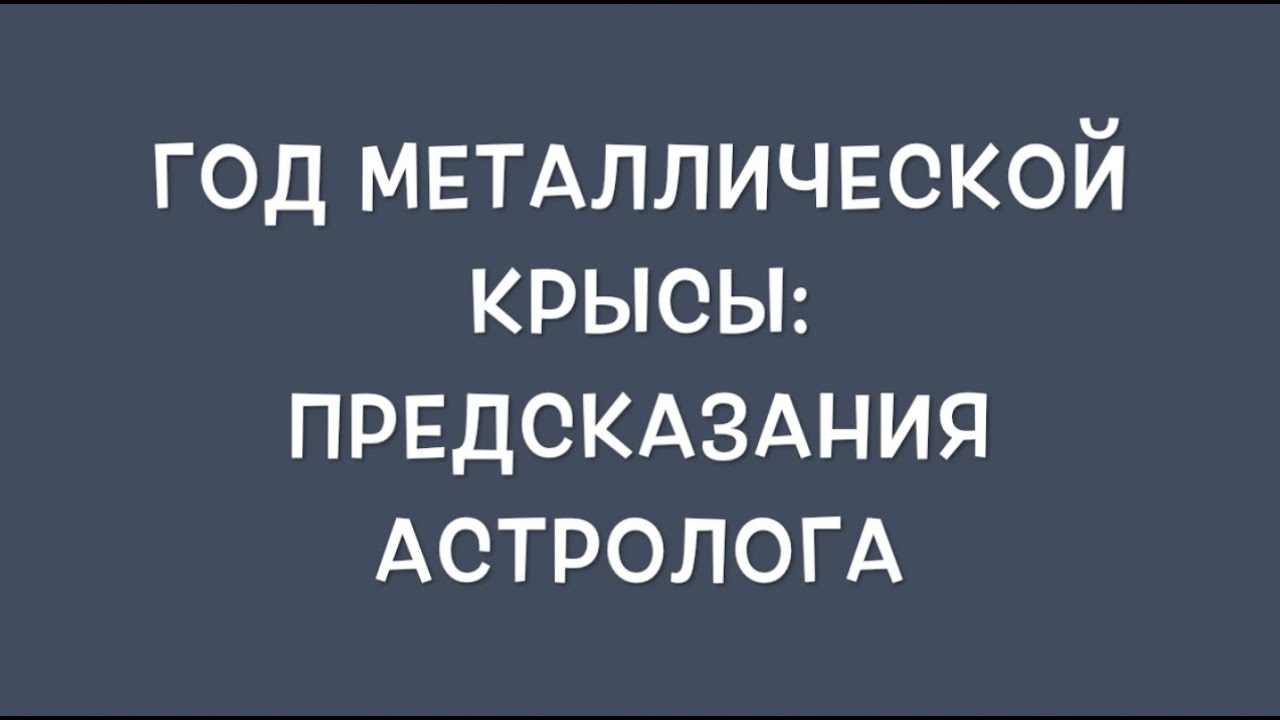 новогодняя крыса. предсказания знака зодиака. рожденные в год крысы года. 2020 год крысы. год крысы предсказания.