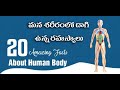 20 facts about human body        maahirfacts telugu