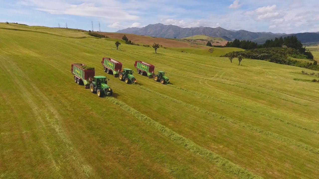 D Thompson Contracting NZ 17/18