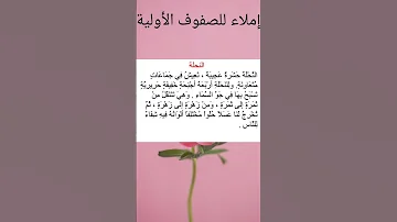 قطعة إملاء يلا نشتغل مع بعض 