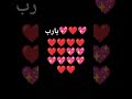١٧ فبراير ٢٠٢٦