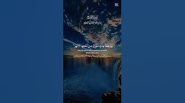 #سورة_الفتح #القرآن_الكريم #المصحف #القارئ_ياسر_الدوسري #اكسبلور #duet #لايك