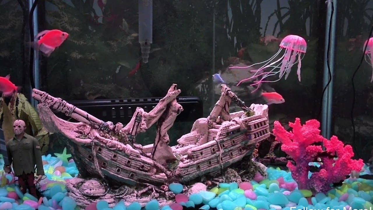 Pet TV Relaxing Cats Dogs Fish Tank