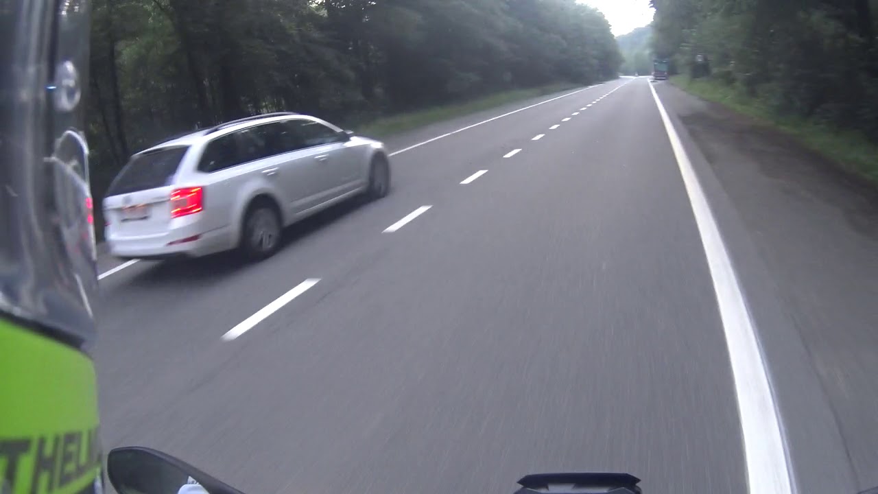 Bambi veut ma mort !