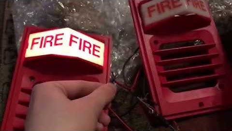 Simplex 2903-9101 Strobe Plate Review And Comparison