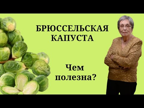 Брюссельская капуста. Чем полезна брюссельская капуста?