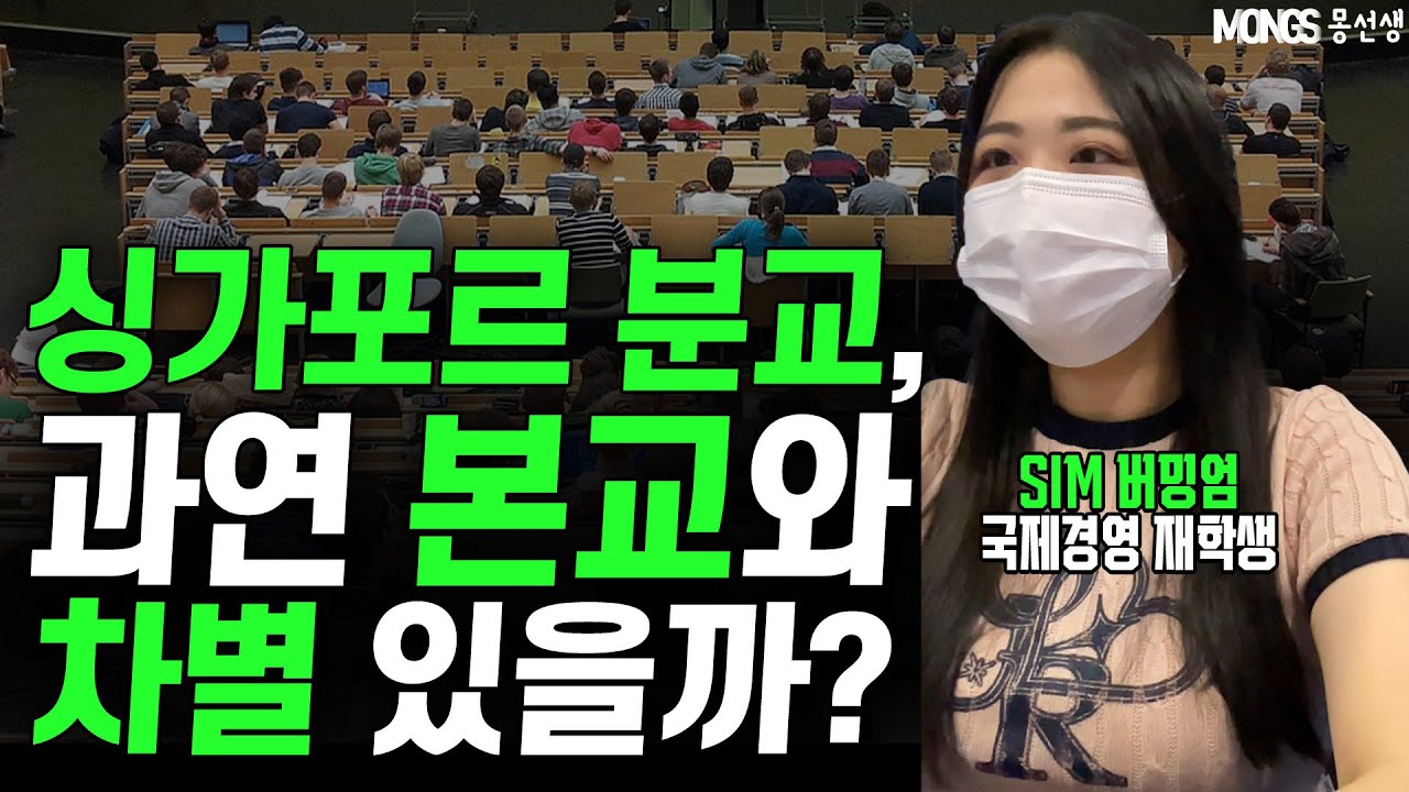 싱가포르 사립대학 분교와 본교의 차이? 3년차 유학생 풀 스토리