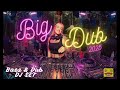 BIG DUB 2025 DJ AstroNat [Bass &amp; Dub Live Set]