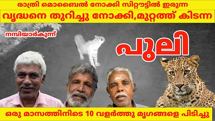 രാത്രി മൊബൈൽ നോക്കി സിറ്റൗട്ടിൽ ഇരുന്ന വൃദ്ധനെ തുറിച്ചു നോക്കി പുലി  #leopard #wayanad #forest