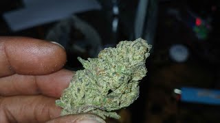 Smokeornope Bud recap #thcrc #thca #freethatplant 