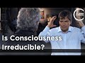 Max Tegmark - Is Consciousness Irreducible?