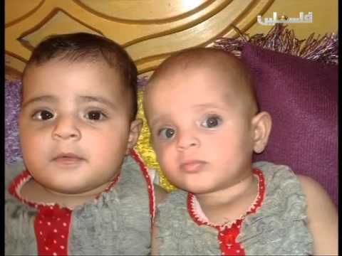 اناديكم النطف المهربة 21 12 2015