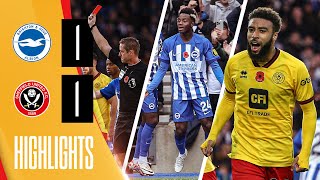Own Goal earns away point! | Brighton 1-1 Sheffield United | Premier League Highlights | Dahoud red