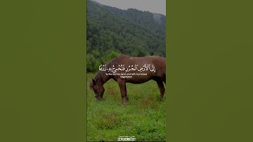 أَوَلَمْ يَرَوْا أَنَّا نَسُوقُ الْمَاءَ إِلَى الْأَرْضِ الْجُرُزِ فَنُخْرِجُ  #القارئ_محمد_اسبيعان