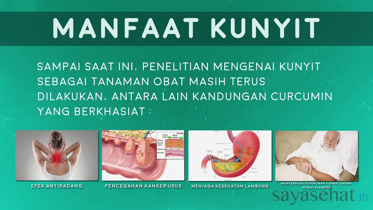 Manfaat kunyit 