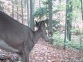 Tioga Trail Cam Video - Go Time Camp Fall 2011 (Pt 1)