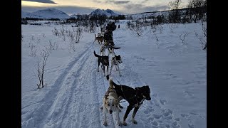 Husky Sledding in Tromso, Norway Dec 2023